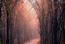 [国足]中国U22男足获得盐城国际足球邀请赛冠.