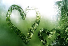 【今日足球赛事分析】3.31智利足球甲级联赛比分预测_今日推荐2场.